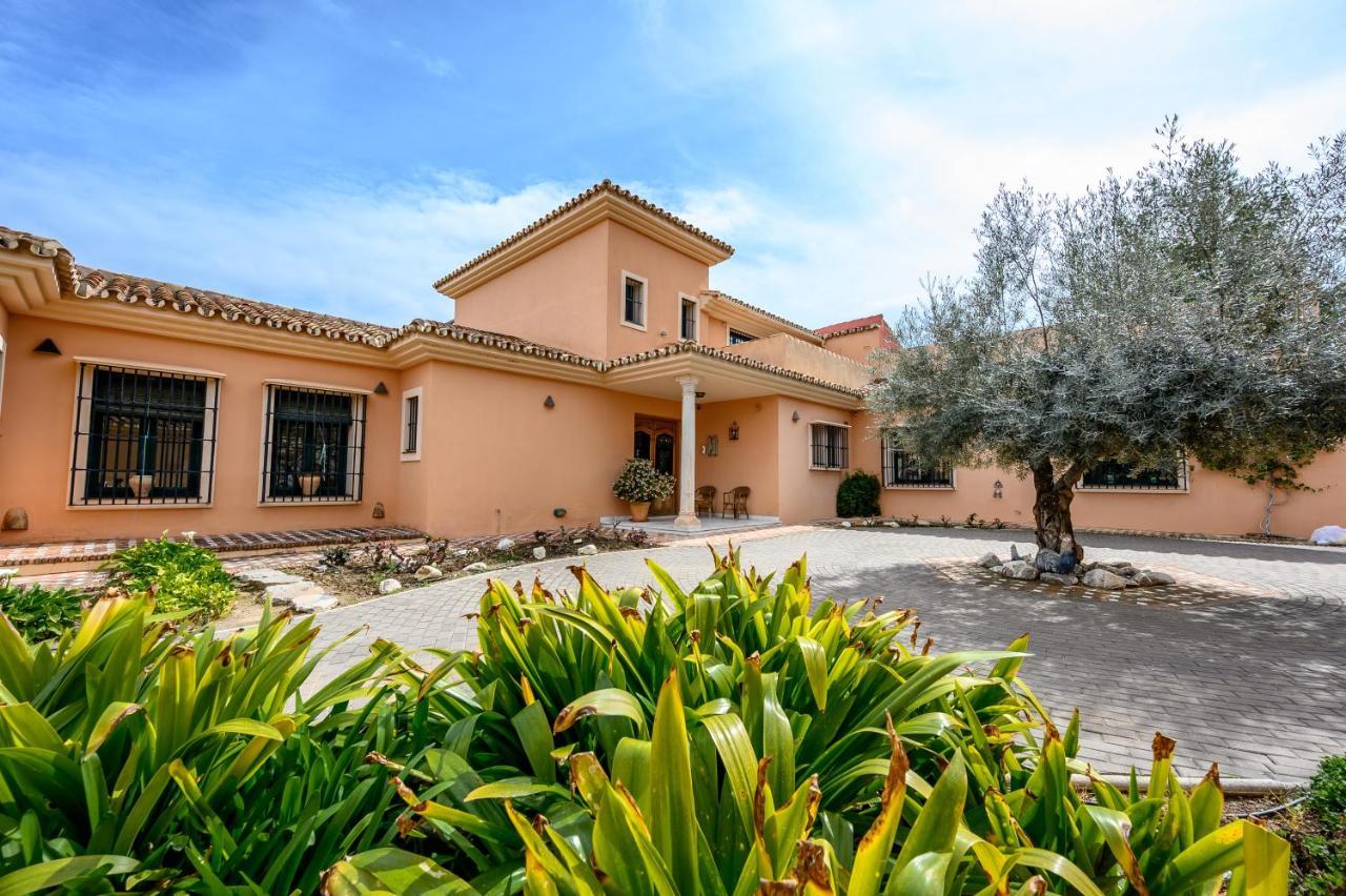 Villa Saguaro Malaga Alhaurín de la Torre Eksteriør bilde